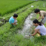 2年生合宿27‐16